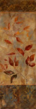 Autumn's Allure II