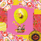 Hot-Air Balloon Trip