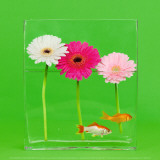 Flowers and Gold Fishes II