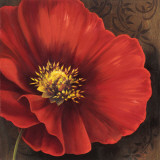Rouge Poppies I