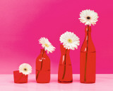 Pop Flowers