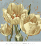 Lemon Tulips I