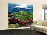 "Appalachian Rhododendrons " May 27  1961