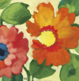 Anemone Garden IV
