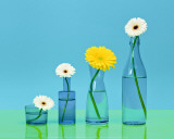 Pop Flowers