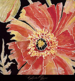 Oriental Poppy