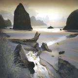 She Sleeps In The Sand