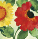 Anemone Garden III