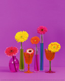 Pop Flowers