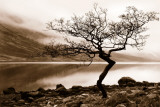 Loch Etive