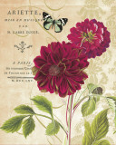 Red Dahlias