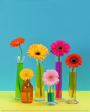 Pop Flowers