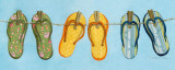 Flip Flops I