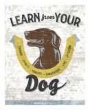 Learn From Your Dog