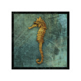 Seahorse