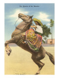 Queen of the Rancho  Charra on Horse