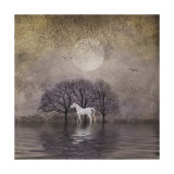 White Horse in Pond