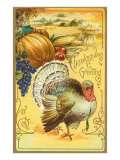 Thanksgiving Greeting  Turkey and Pumpkin
