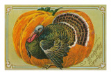 Thanksgiving Greetings  Turkey  Pumpkin