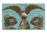 Our National Birds  Eagle and Turkey