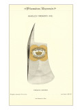 Advertisement for Fireman's Axe