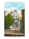 Alamo  San Antonio  Texas