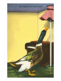 Piano Playing Duck