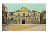 Alamo  San Antonio  Texas