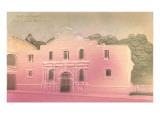 The Alamo  San Antonio  Texas