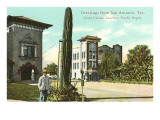 Greetings from San Antonio  Texas  Saguaro