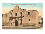 The Alamo  San Antonio  Texas