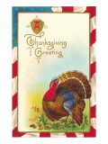 Thanksgiving Greeting  Turkey