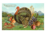 Thanksgiving Greetings  Turkey with Fruits