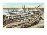 Levee Scene  Memphis  Tennessee