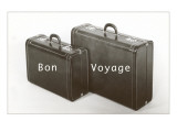 Suitcases  Bon Voyage
