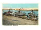 Levee  Memphis  Tennessee