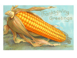 Thanksgiving Greetings  Corn