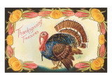 Thanksgiving Treasure  Turkey