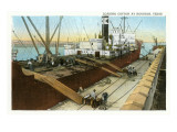 Loading Cotton on Ship  Houston  Texas