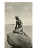 Little Mermaid Statue  Copenhagen  Denmark