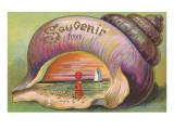 Souvenir Seashell with Sunset Scene