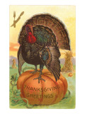 Greetings  Turkey on Pumpkin