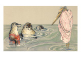 Stork Lecturing Seals