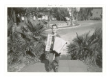 Boy with Accordion and Fan Palms