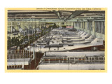 Consolidated Aircraft Plant  San Diego  California