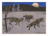 Woodcut of Timber Wolves