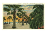 Palm Trees on Cabrillo Boulevard  Santa Barbara  California