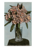 Rhododendrons in Vase  State Flower of Washington