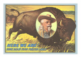 Buffalo Bill Picture Imposed on Bison