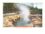 Oblong Geyser  Yellowstone National Park